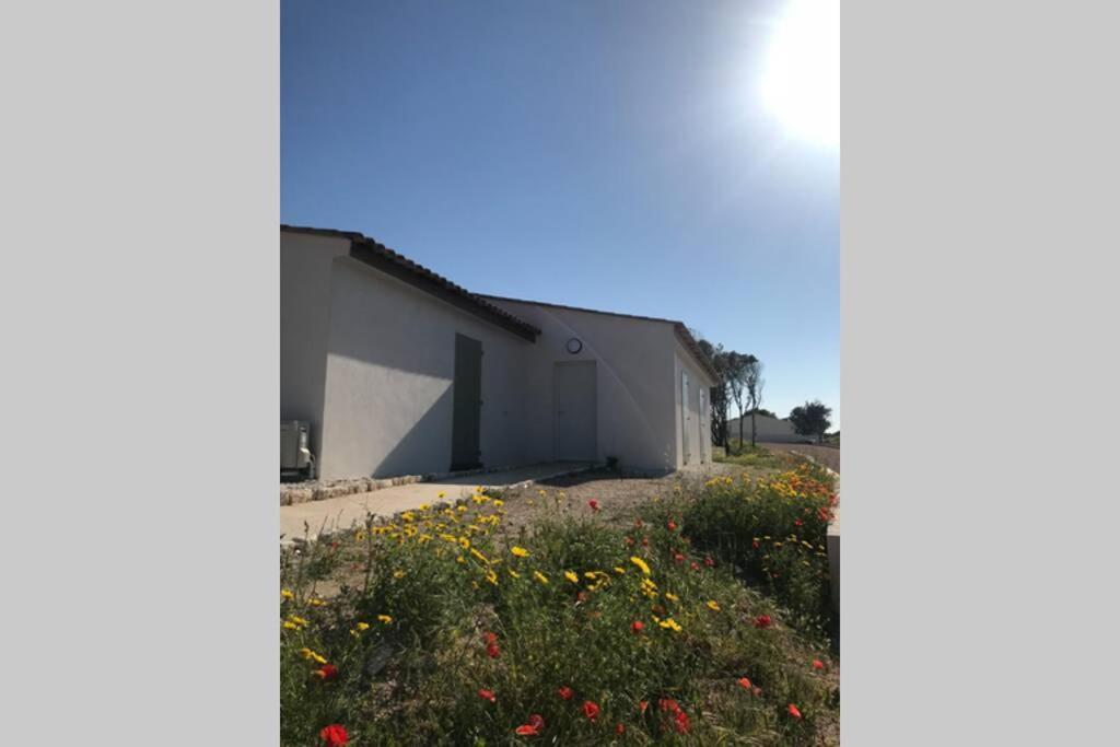Bonifacio 3Mn Du Port! Villa Piscine Chauffee ,Clim,Wifi Bonifacio (Corsica) Exterior foto